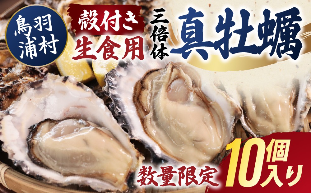 
                  【期間限定 】【10月15日まで受付】15-34 濃厚な甘みとコク！生食用 三倍体牡蠣 10個入り 生牡蠣 冷蔵 浦村牡蠣
                