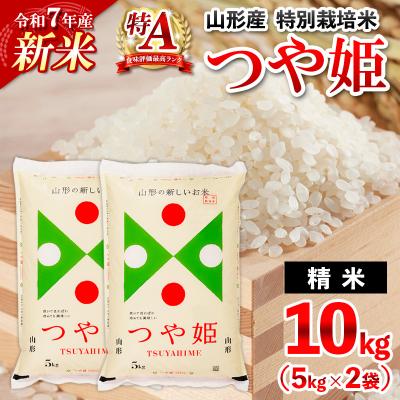 ふるさと納税 山形市 【2月発送】令和7年産 山形産 特別栽培米 つや姫(白米)10kg(5kg×2) FY25-347