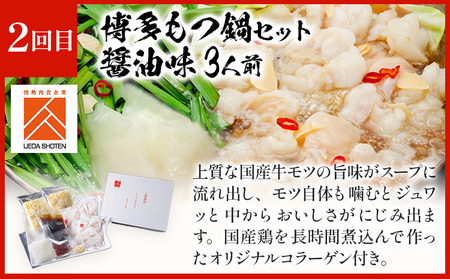 「上田商店」おすすめ定期便 【隔月定期便（計3回発送）】 水炊き もつ鍋 モツ鍋 セット ありた鶏 ぶつ切り ぶつ切 醤油 しょうゆ 味噌 みそ ちゃんぽん 博多 専門店 2人前 3人前 福岡県 福岡