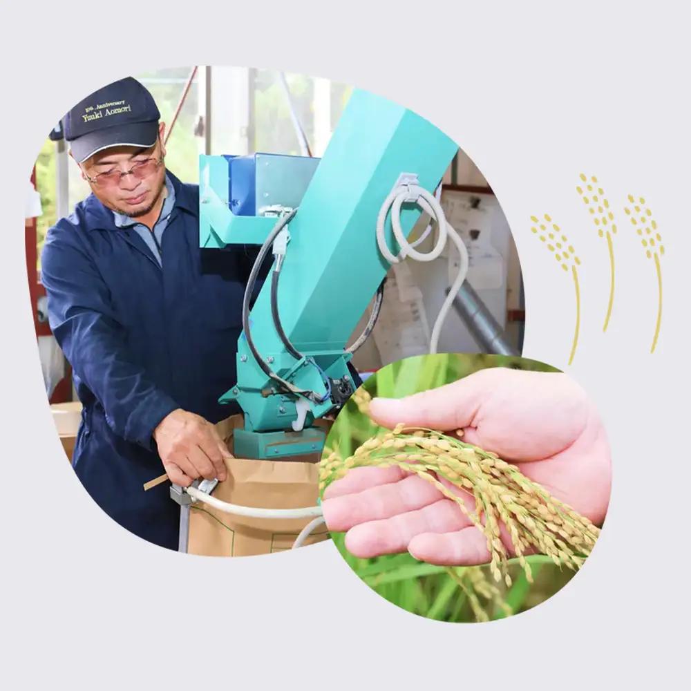 【令和8年産・先行予約】まっしぐら精米　10kg(5㎏×2袋)　【02402-0439】