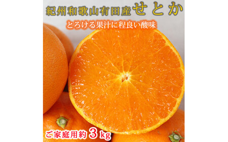 定期便【全4回】ご家庭用柑橘セット みかん 不知火 せとか 清見 【tkb412】