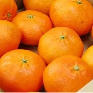 【先行予約】【発送期間:2027年2月～なくなり次第終了 】【家庭用】甘平 3kg みかん みかん