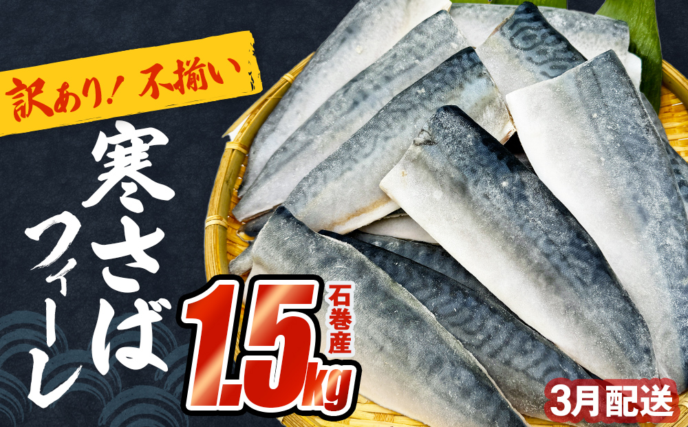 【3月配送】さば 〈 訳あり 〉 宮城県産 寒さば フィーレ 無塩 1.5kg 冷凍　魚 青魚 鯖 切身 焼魚 煮魚 わけあり 不揃い ご家庭用 食塩無添加 国産 鯖フィレ サバフィーレ 切り身 バラバラ冷凍 鯖の味噌味 宮城県 石巻市