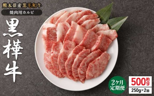 【1ヶ月毎2回定期便】黒毛和牛 黒樺牛 焼肉用カルビ 計約500g (約250g×2回) カルビ 牛肉 BBQ  霜降り 焼肉 焼き肉セット アウトドア 霜降り 肉 セット キャンプ おかず 和牛 牛 お肉 黒毛和牛 国産 冷凍 杉本本店