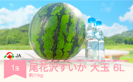 【先行予約】 大玉 尾花沢すいか 6L×1玉入り 令和8年産 2026年産 ja-suoox6 ※沖縄・離島への配送不可