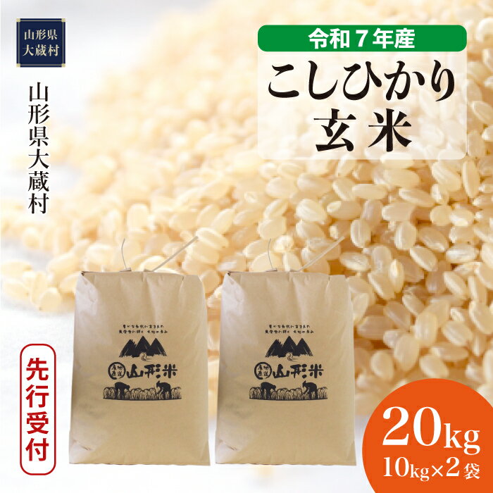 【ふるさと納税】＜令和7年産米先行受付＞ 大蔵村 コシヒカリ ＜玄米＞ 20kg（10kg×2袋）