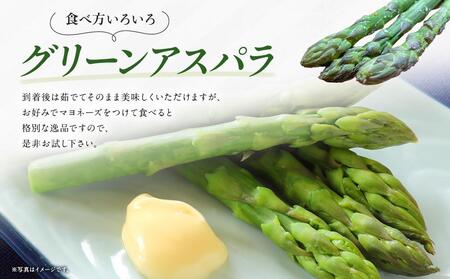 【先行予約】朝採りグリーンアスパラL500ｇ（2025年5月下旬から順次発送予定） 【 アスパラ アスパラガス グリーンアスパラ 朝採り 直送 産地直送 旬 春 北海道 とれたて お取り寄せ 冷蔵配送