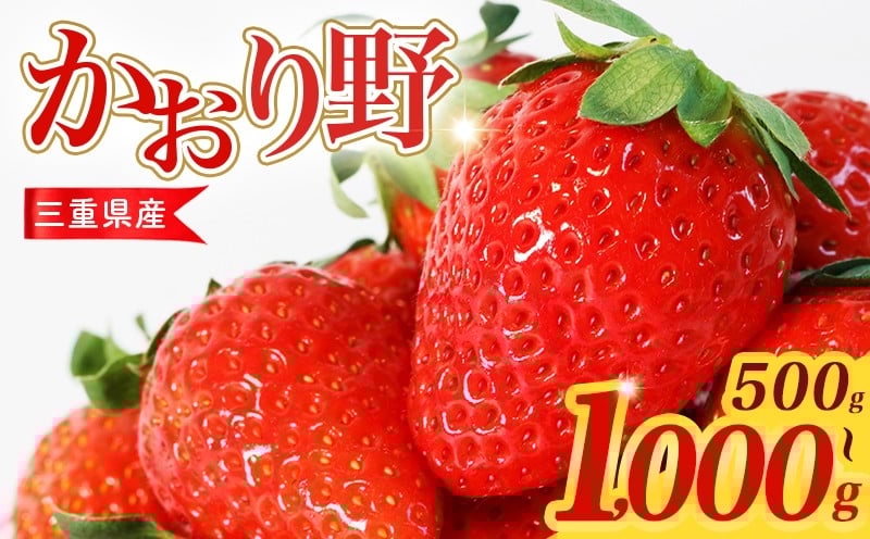 
                  【数量限定】 いちご 500g～1kg 選べる容量 かおり野 苺 イチゴ ストロベリー 三重県産 ichigo strawberry 三重県 6000円 六千円 10000円以下 一万円以下
                