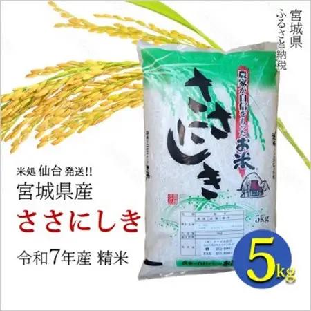 【ささにしき】宮城県産 令和7年産 精米 5kg(5kg×1袋)【1700760】