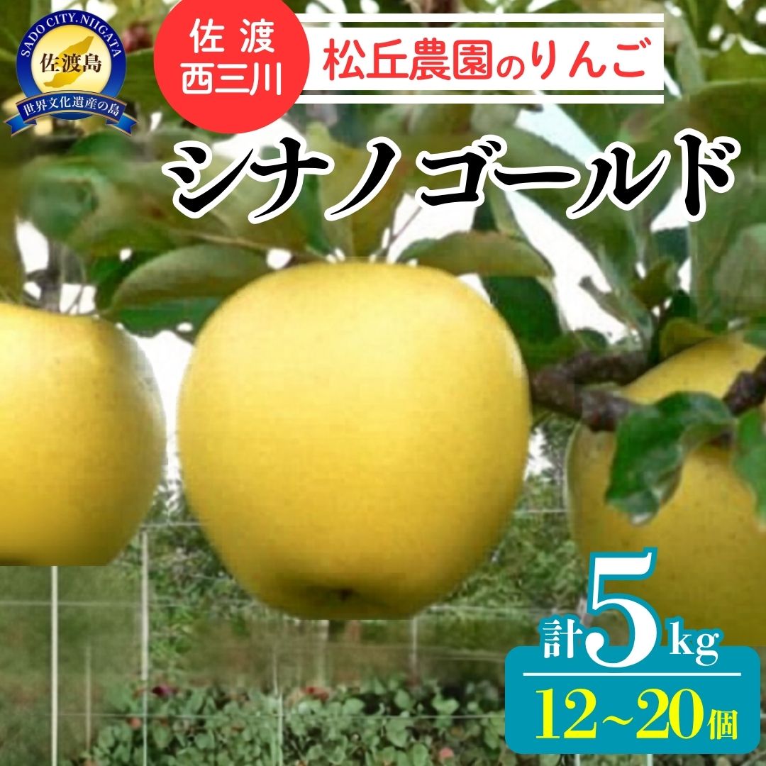 【10月下旬以降発送】佐渡 西三川・松丘農園のりんご「シナノゴールド」12個から20個 計5kg196042-0007