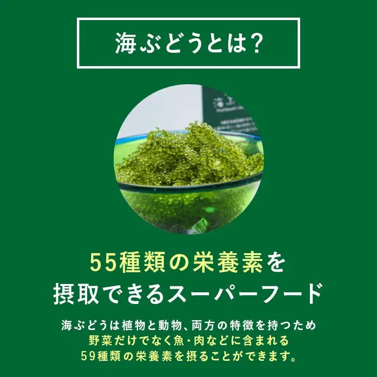 ぷちぷち海ぶどう 300g 訳あり 沖縄県 海ぶどう 海ブドウ ウミブドウ 沖縄 大人気 特産物 お土産 健康 栄養 美容 美肌 ダイエット ミネラル マグネシウム カルシウム 鉄分 タレ付き おつま