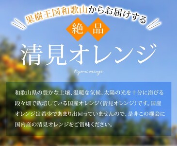 大玉清見オレンジ 【家庭用】 森本農園の手選別 約7kg 和歌山県産 サイズ混合 【北海道・沖縄・離島配送不可】【2026年2月上旬～5月中旬頃に順次発送】【BV-mrmt075】