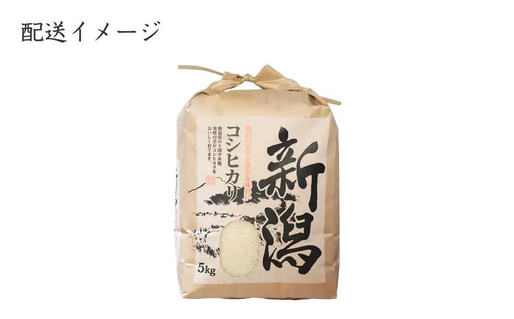 【定期便】 新米 先行予約 新潟県産 コシヒカリ 5㎏×3ヵ月 〈10月中旬発送開始分〉令和8年産 | コシヒカリ 農事組合法人ファーム天領