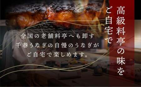 厳選 高級 青手うなぎ 白焼 3本セット うなぎ ウナギ 鰻 蒲焼き 土用丑の日 グルメ ギフト プレゼント 男性 女性 お取り寄せ 田原市 送料無料