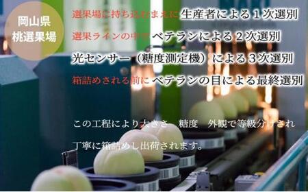桃 2024年 先行予約 岡山 白桃 ロイヤル 4～6玉 約1kg JAおかやまのもも（早生種・中生種） もも モモ 岡山県産 国産 フルーツ 果物 ギフト[No.5220-0917]