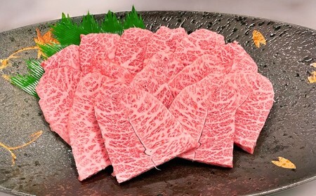 【6カ月定期便】 【ミスジ食べ比べ！】 おおいた和牛 ミスジ焼肉 ・ ミスジステーキ 約1.6kg×6回 計約9.6kg
