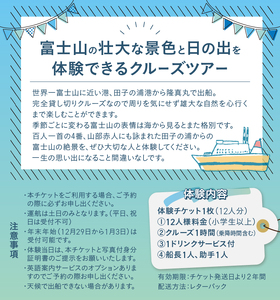 クルージング サンライズコース 体験チケット 12人 クルーズツアー 土日のみ 年末年始受付可能 富士山の壮大な景色 雄大な自然 田子の浦港 隆真丸 完全貸し切り 一生の思い出 静岡県 富士市 [sf