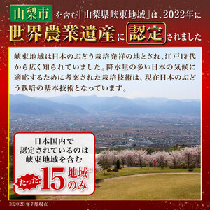 【2025年先行受付】厳選農家のシャインマスカット 700g以上 1房　化粧箱入り【配送不可地域：離島】【1565534】