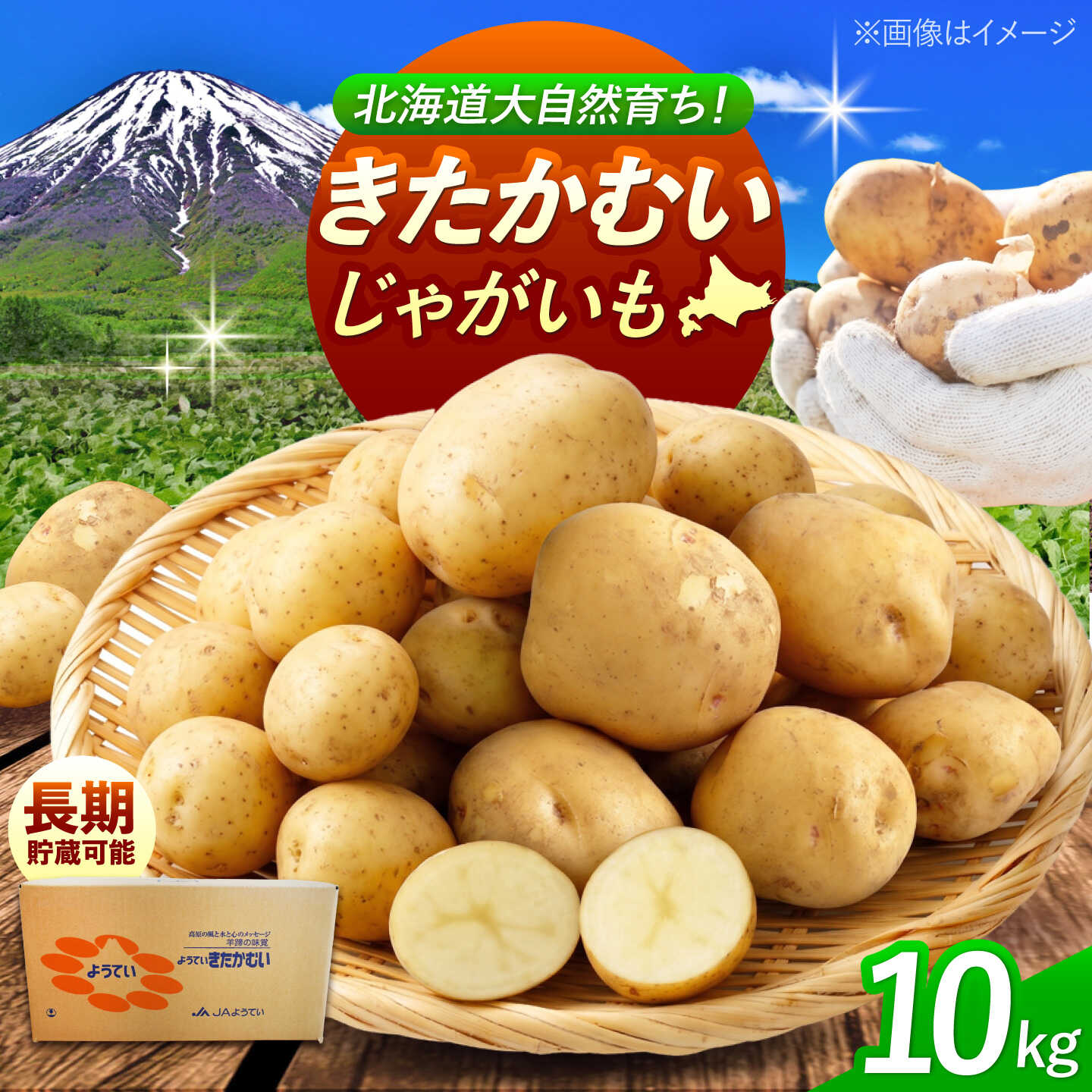 【ふるさと納税】【2027年1月上旬以降順次発送】 じゃがいも きたかむい 10kg | じゃがいも ジャガイモ きたかむい 野菜 季節の野菜 北海道 産地直送 先行予約 | 株式会社Aコープようてい[BPAT008]