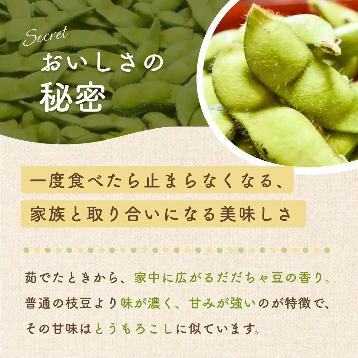 【令和9年産先行予約】 枝豆 だだちゃ豆 (早生) 1.5kg (500g×3袋)×5セット 合計7.5kg　だだちゃ喜左衛門株式会社