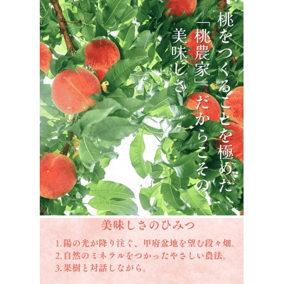 先行受付!【2026年7月発送開始】もも農家ヤマシタ　桃の産地山梨から直送　2kg　【配送不可地域：離島】