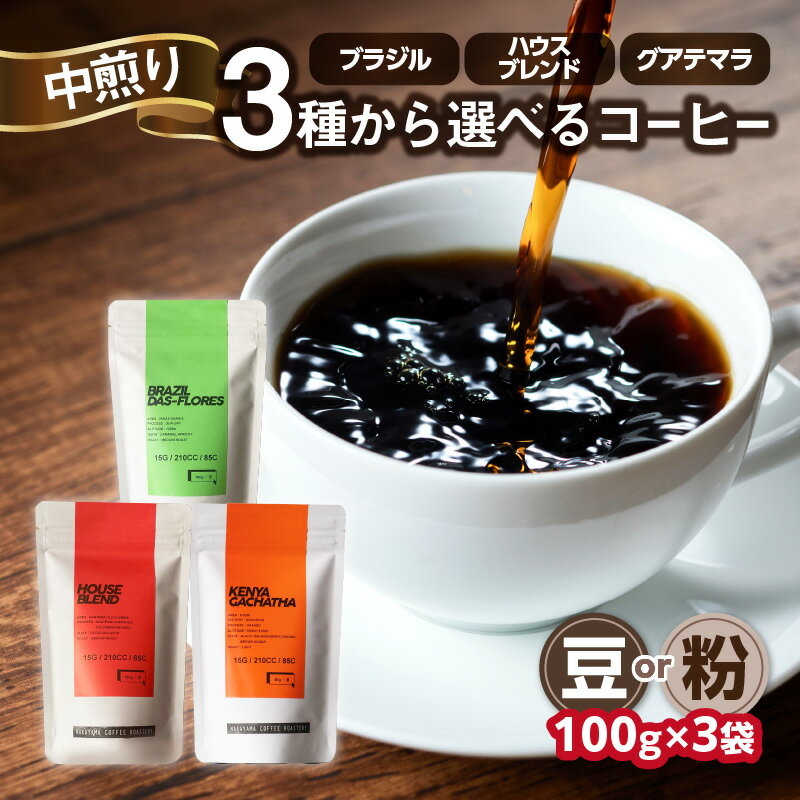 【ふるさと納税】《レビューキャンペーン》 中山珈琲焙煎所 自家焙煎コーヒー 中煎り 選べる種類（ブラジル、ハウスブレンド、グアテマラ）選べるタイプ（豆or粉）100g×3袋 合計300g コーヒー豆 珈琲 コーヒー コーヒー粉 中煎り 京都府 木津川市
