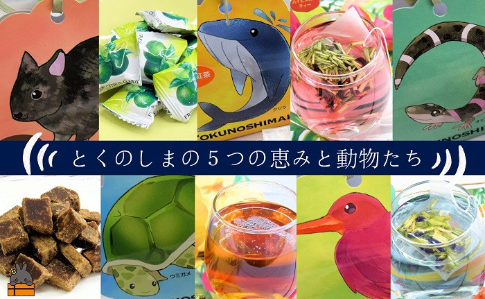 
            1850～紅茶やバタフライピーティーなど～徳之島の茶葉を楽しむ徳之島っ子( 黒砂糖 黒糖 シークニン 飴 キャンディ 紅茶 ハイビスカスティー バタフライピーティー )
          