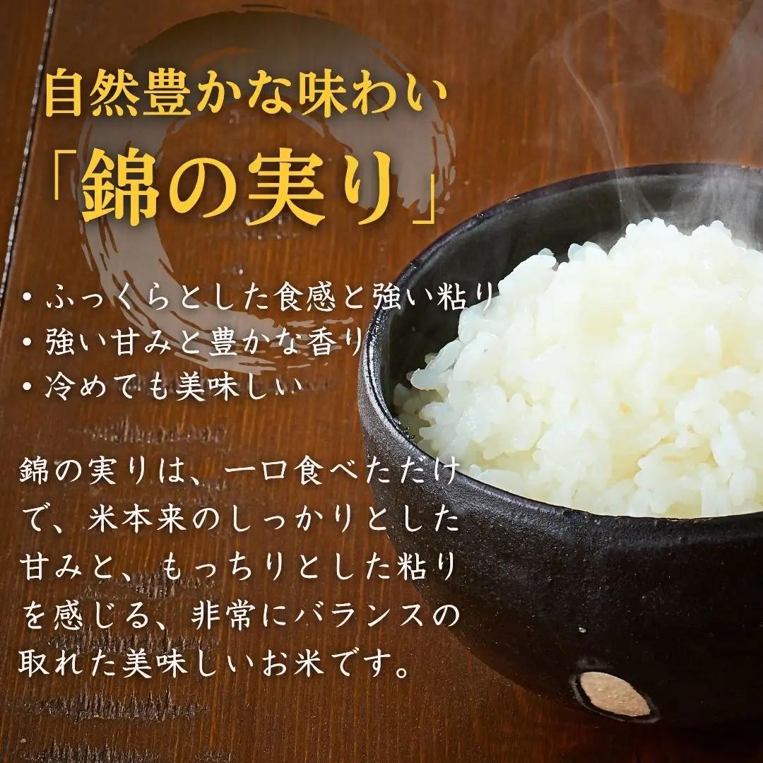 【コシヒカリ】令和7年産 魚沼産コシヒカリ 定期便 ブランド認証米「錦の実り」特Aランク 精米20kg (5キロ2袋 毎月全2回) 