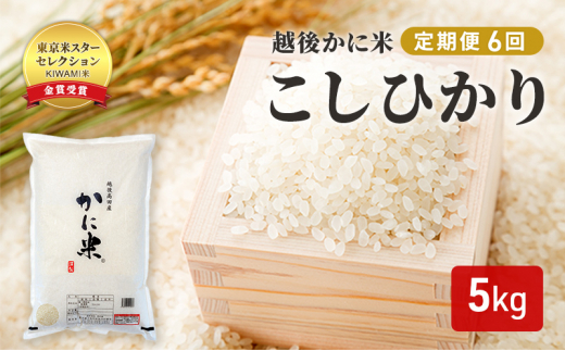 定期便 6ヶ月 【花の米】毎月お届け！6ヶ月分 越後かに米 こしひかり 白米 5kg 米 お米 コメ コシヒカリ 6回 新潟 新潟県上越市