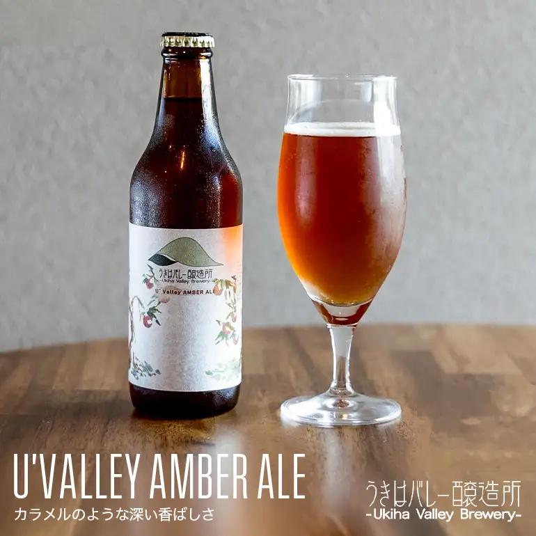【ふるさと納税】クラフトビール 飲み比べ 4種 8本セット 地ビール ビール 瓶ビール お酒 ギフト 詰め合わせ プレゼント 家飲み お祝い お祝い返し 開店祝い 退職祝い 新築祝い おすすめ 国産 