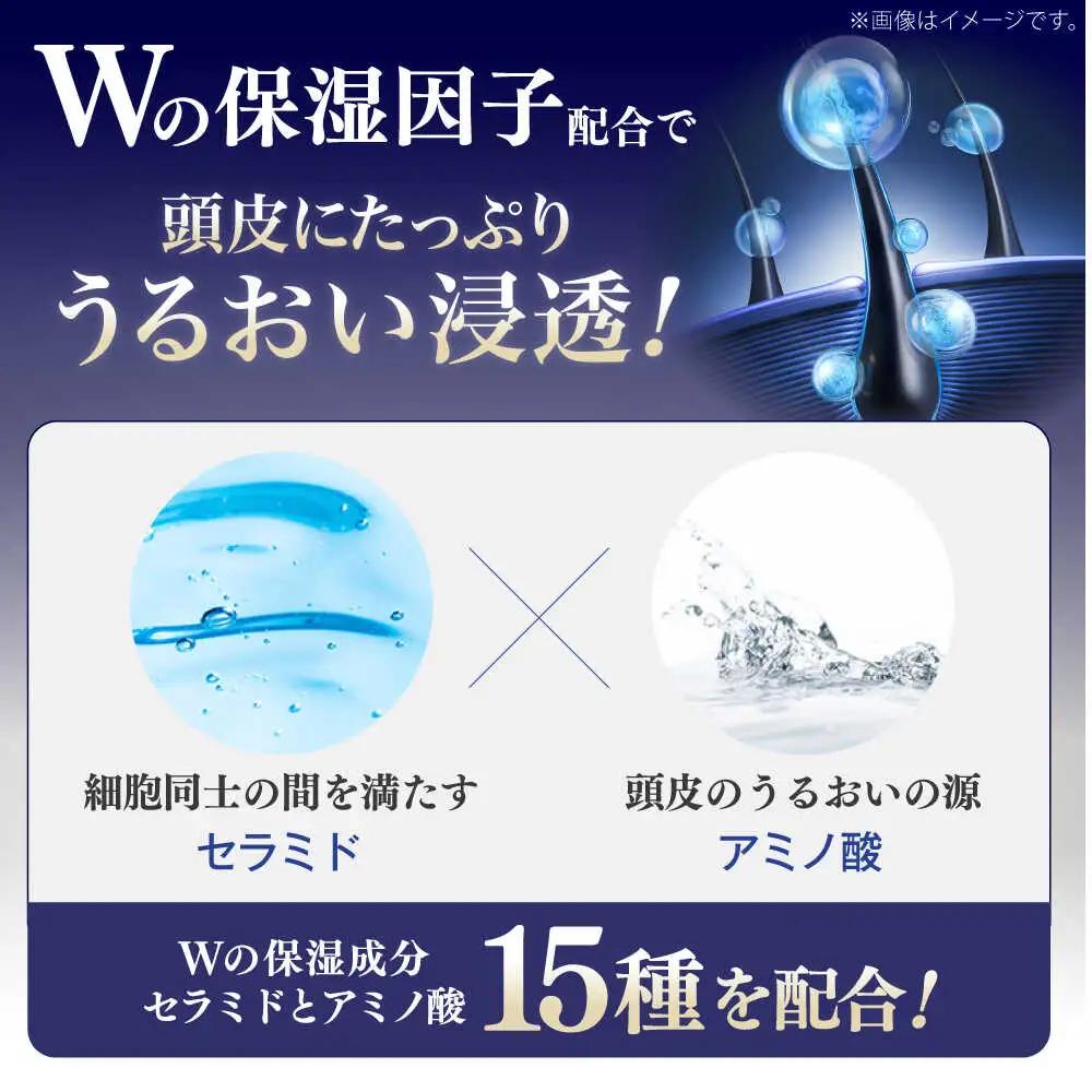 薬用育毛剤 チャップアップ CHAP UP 120ml×1本 髪 育毛 脱毛予防 発毛促進 男性用[AIDV001]