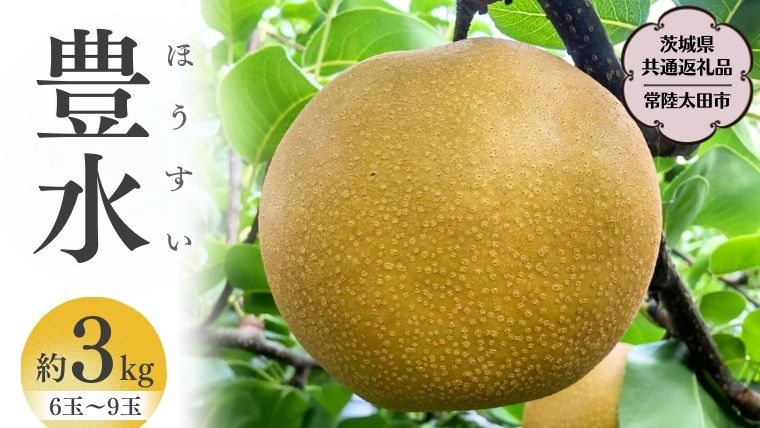 【2025年8月下旬発送開始】 茨城県産 梨 「 豊水 」 約 3kg 6玉 ～ 9玉【茨城県共通返礼品／常陸太田市】 桧山果樹園 [DU003sa]