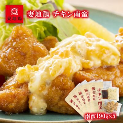 ふるさと納税 西都市 妻地鶏『チキン南蛮』詰合せ5パック　30[1477]