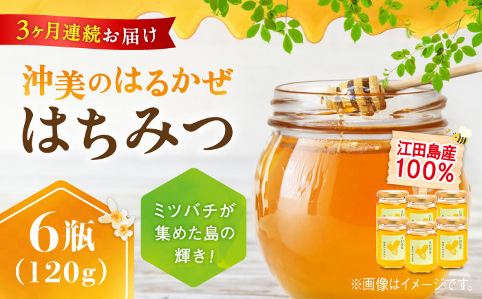 
            【全3回定期便】江田島産100％ はちみつ 『沖美のはるかぜ』120g×6本セット ハチミツ 蜂蜜 国産 広島 江田島市/はつはな果蜂園 [XCD015] ハチミツ 国産蜂蜜 国産はちみつ 国産純粋はちみつ 蜜 蜂蜜 はちみつ ハニー honey 人気ハチミツ 日本蜜蜂 純粋はちみつ 常温 保存 備蓄 防災食 非常食 保存食 産地直送 国産 定期便
          