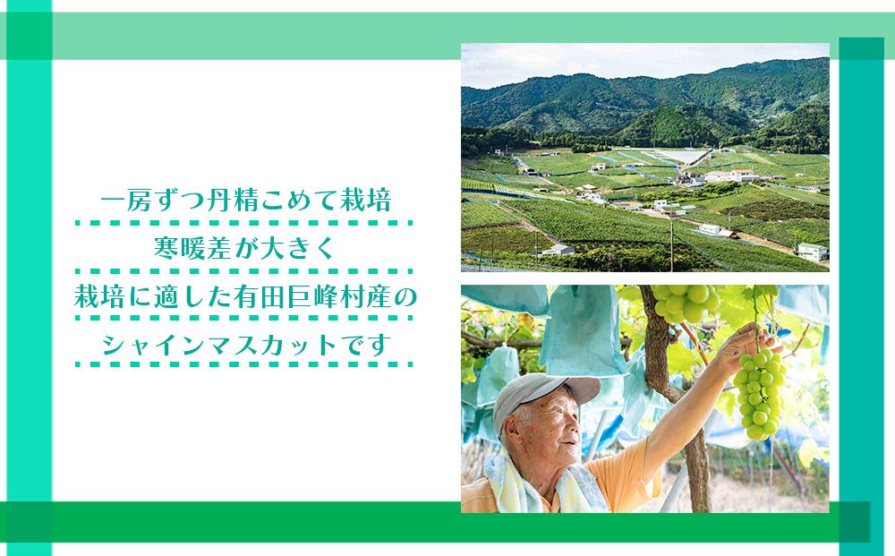 シャインマスカット 約4kg  (5房～10房) 有田巨峰村 【朝採 新鮮】 ■2024年発送■※8月下旬頃～9月下旬頃まで順次発送予定