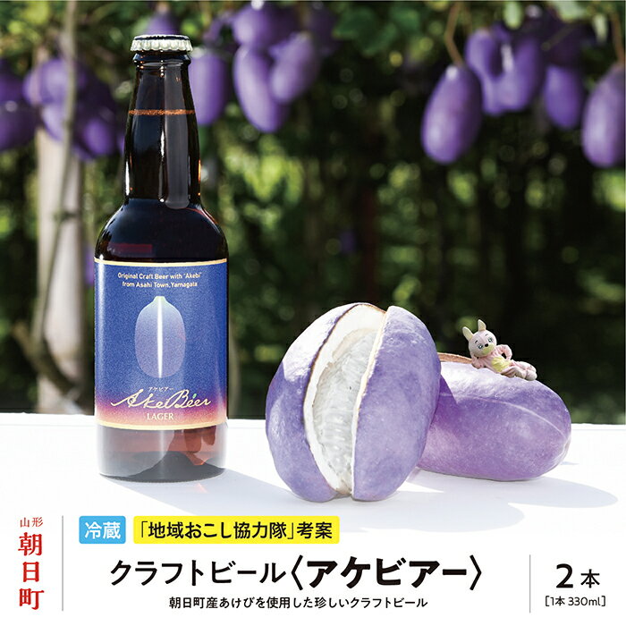 【ふるさと納税】アケビを使ったクラフトビール アケビアー 330ml×2本 箱入り あけび 送料無料