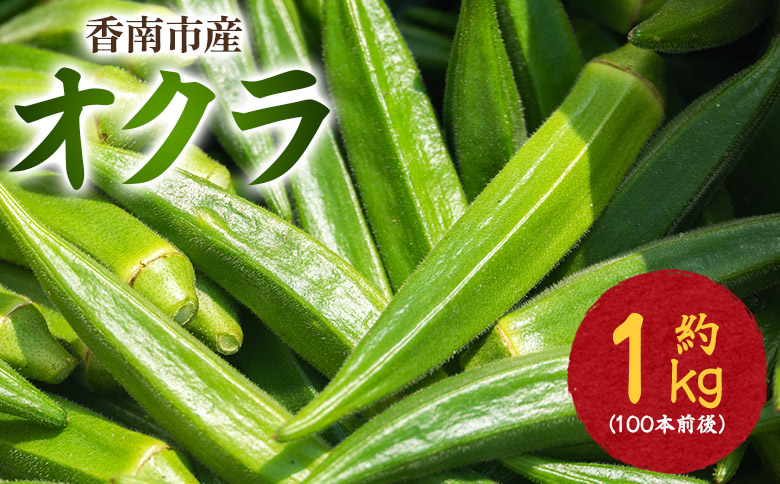 オクラ1kg(100本前後) - 冷蔵 on-0028