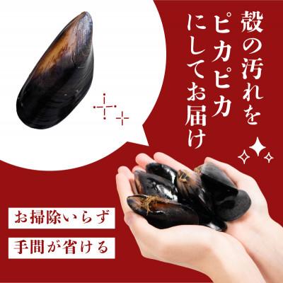 ふるさと納税 大船渡市 国産 活ムール貝 1kg 冷蔵 [koku015] |  | 01