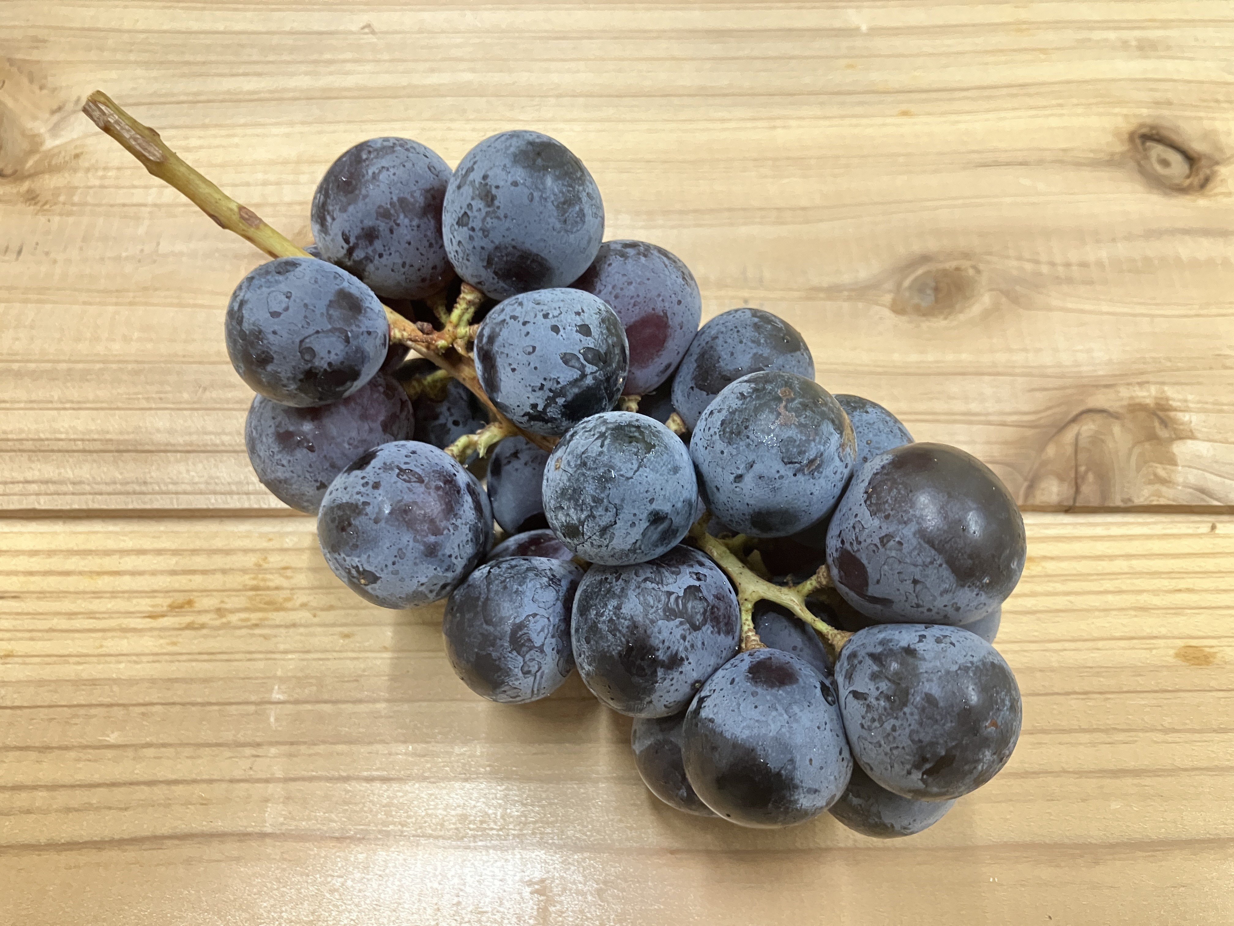 大粒で種なしのBKシードレス