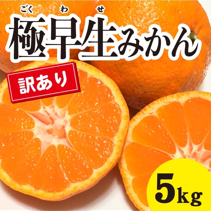 【ふるさと納税】みかん 柑橘【先行受付】【2025年10月中旬以降発送】 甘さと酸味が絶妙！訳あり極早生 みかん 約5kg 三原 佐木島 017064