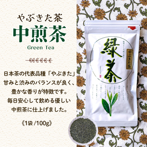 緑茶 やぶきた 中煎茶 200g (100g×2袋) 国産 静岡茶