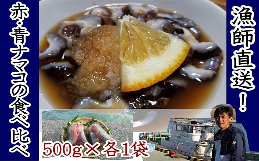 修福丸ん赤・青ナマコの食べ比べ！（赤・青各500g×1袋）