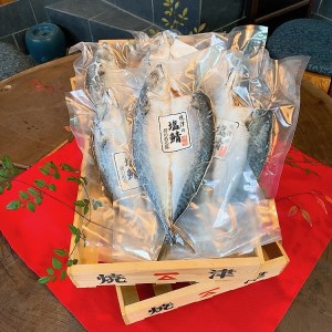 a15-551　「塩鯖6枚セット」国産　さば　塩サバ　真空　個包装　贈答