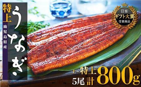 鹿児島県産 うなぎ 長蒲焼 5尾｜うなぎ 鰻 鰻 鹿児島県産 国産