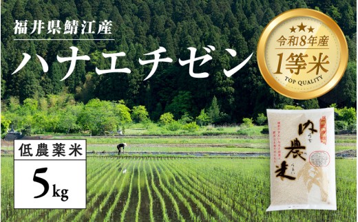 【令和8年産新米！】【先行予約】【2026年9月中旬以降順次発送予定】福井県産 内農米ハナエチゼン 5kg ［B-00554］ / ハナエチゼン 減農薬米  白米 精米 ご飯 コメ ごはん ライス 産地直送 鯖江市