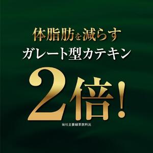 【機能性表示食品】お～いお茶　濃い茶　 2L×2ケース（12本）