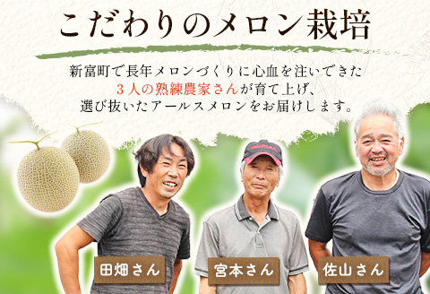 大玉プレミアムアールスメロン 4L1玉 ※2024年5～7月お届け 秀品 1.9kg以上 贈答 化粧箱入 宮崎県産【B578-02】