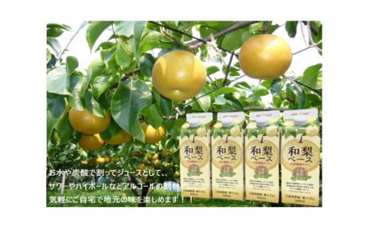 千葉県産和梨ベース 4本セット [№5689-0401]