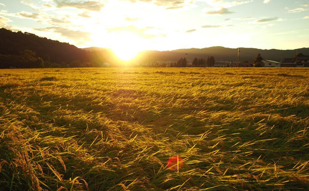 【令和7年産＼新米／】南魚沼産こしひかり 玄米 5kg 特A獲得日本一産地 精選玄米 雪国の恵み もっちり甘い 南魚沼産コシヒカリ【2025年10月上旬から順次発送】