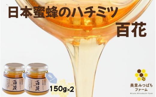 日本蜜蜂のハチミツ（150g×2）瓶入り/ はちみつ みつばち ハチミツ 天然 日本蜂蜜 蜂蜜 【mmfm003】